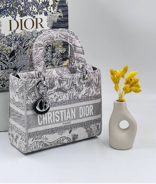 Christian Dior lady canvas