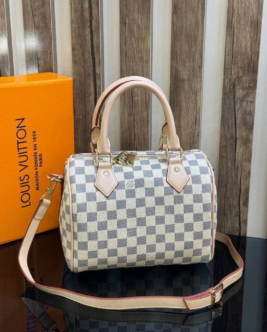 Louis Vuitton speedy 20