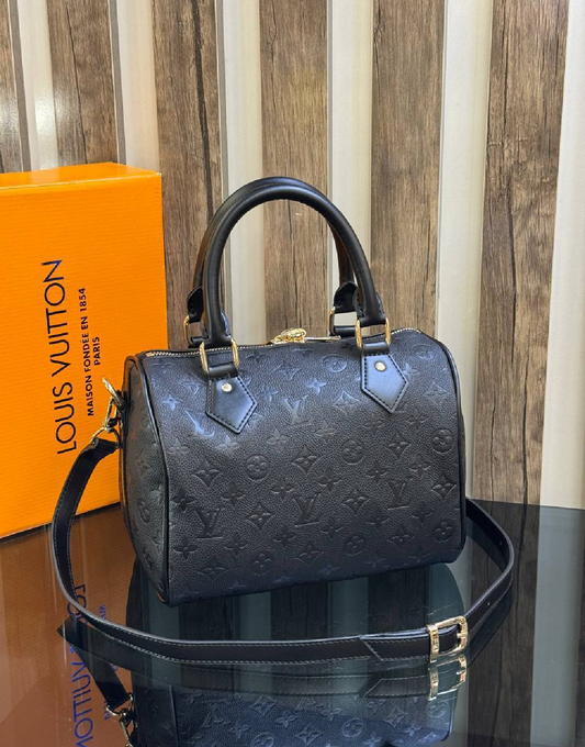 Louis Vuitton speedy 20